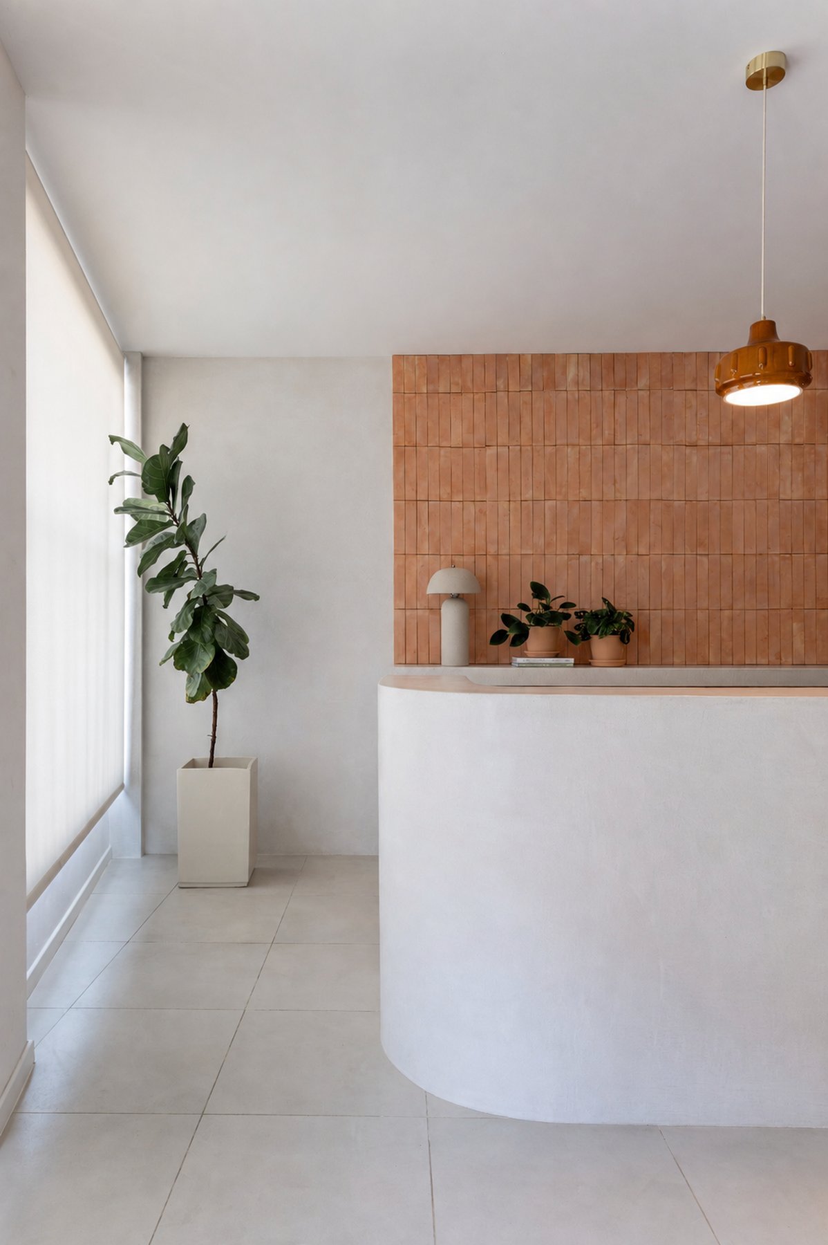 Curved plaster reception desk against a terracotta tiled wall, with a brass pendant light and a potted fig tree